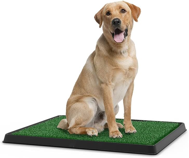Reusable grass patch potty pad for dog toilet training