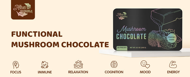 Functional Mushroom Chocolate – Energy, Focus & Mood Support