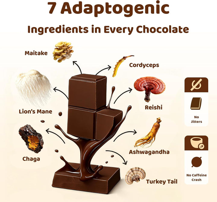Functional Mushroom Chocolate – Energy, Focus & Mood Support