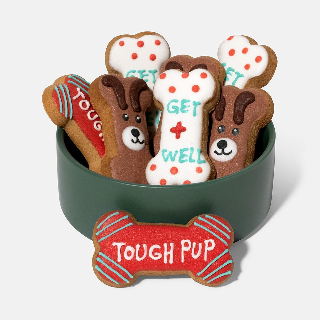 Get Well Dog Cookie Gift Set – 8 Colorful Hand-Decorated Treats