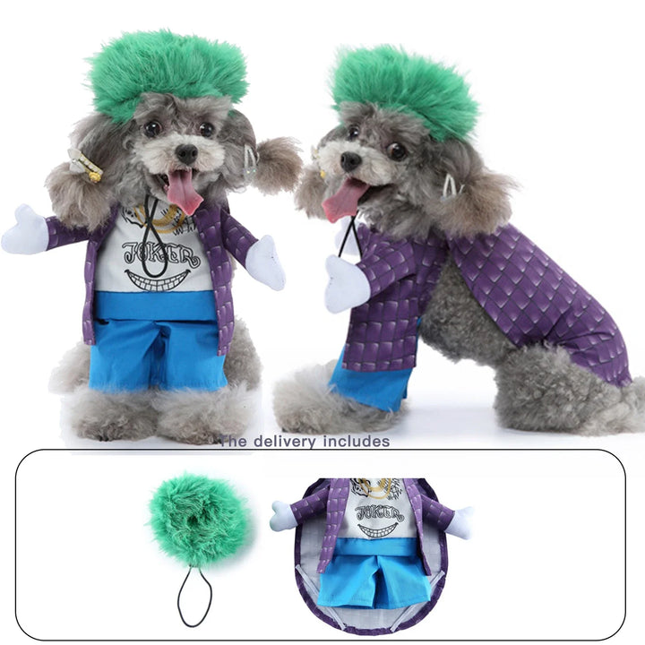 Party-ready dog costume with adorable postman look