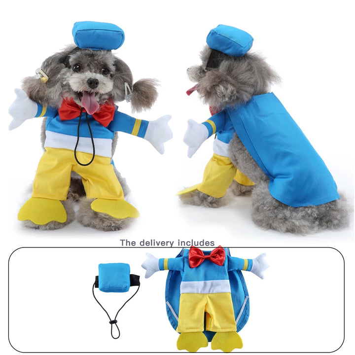 Cute dog postman dress with holiday accessory vibe