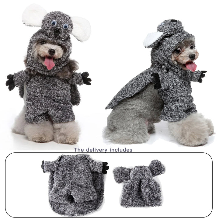  Party and Halloween-ready postman outfit for dogs