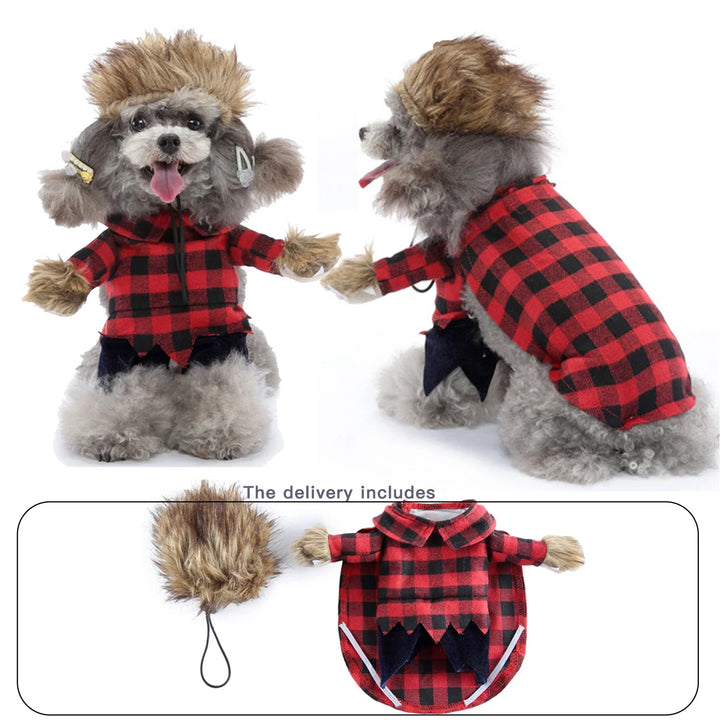 Comical postman-style dog outfit perfect for photos