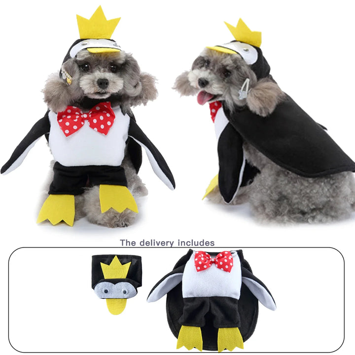 Durable and fun pet costume ideal for dog parties