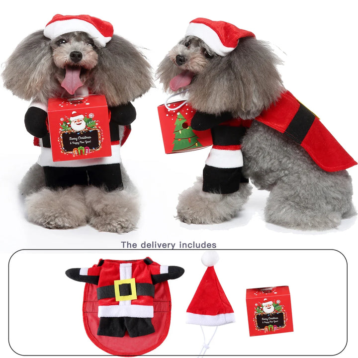 Cosplay costume for dogs featuring postman design for festivals