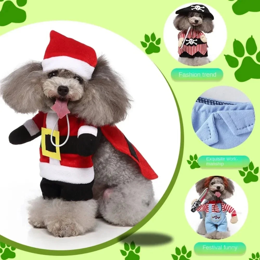 Comical pet outfit for Christmas or birthday celebration