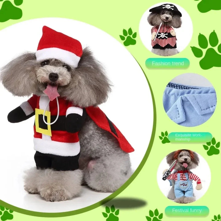 Comical pet outfit for Christmas or birthday celebration