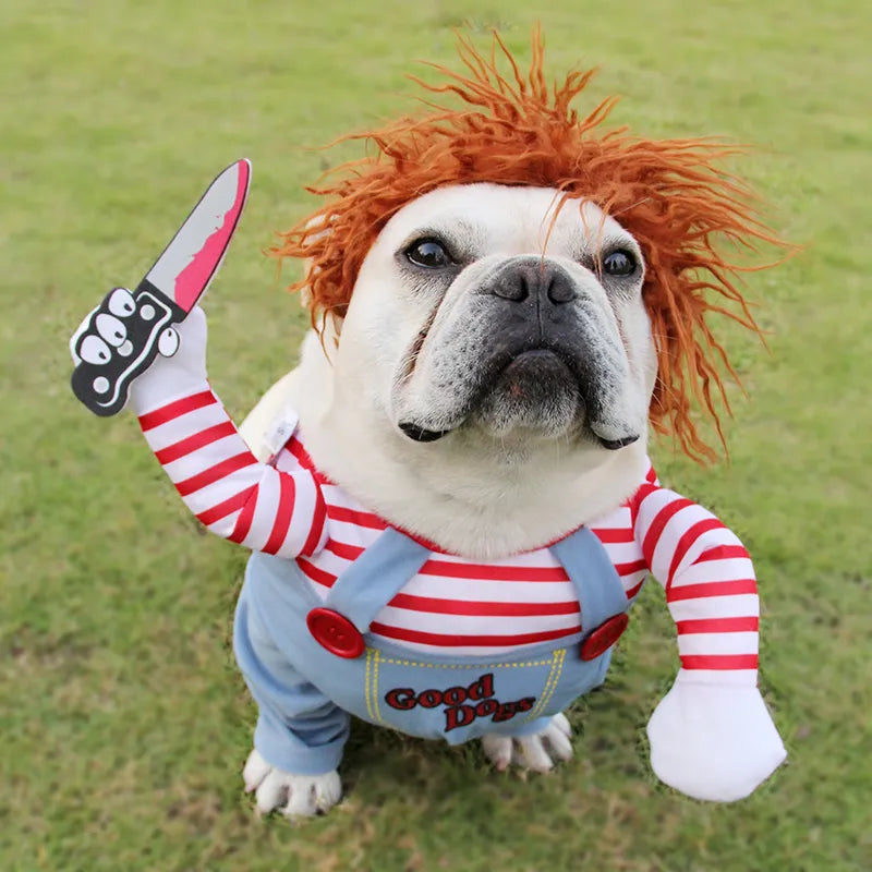 Funny Halloween costume for large breed dogs