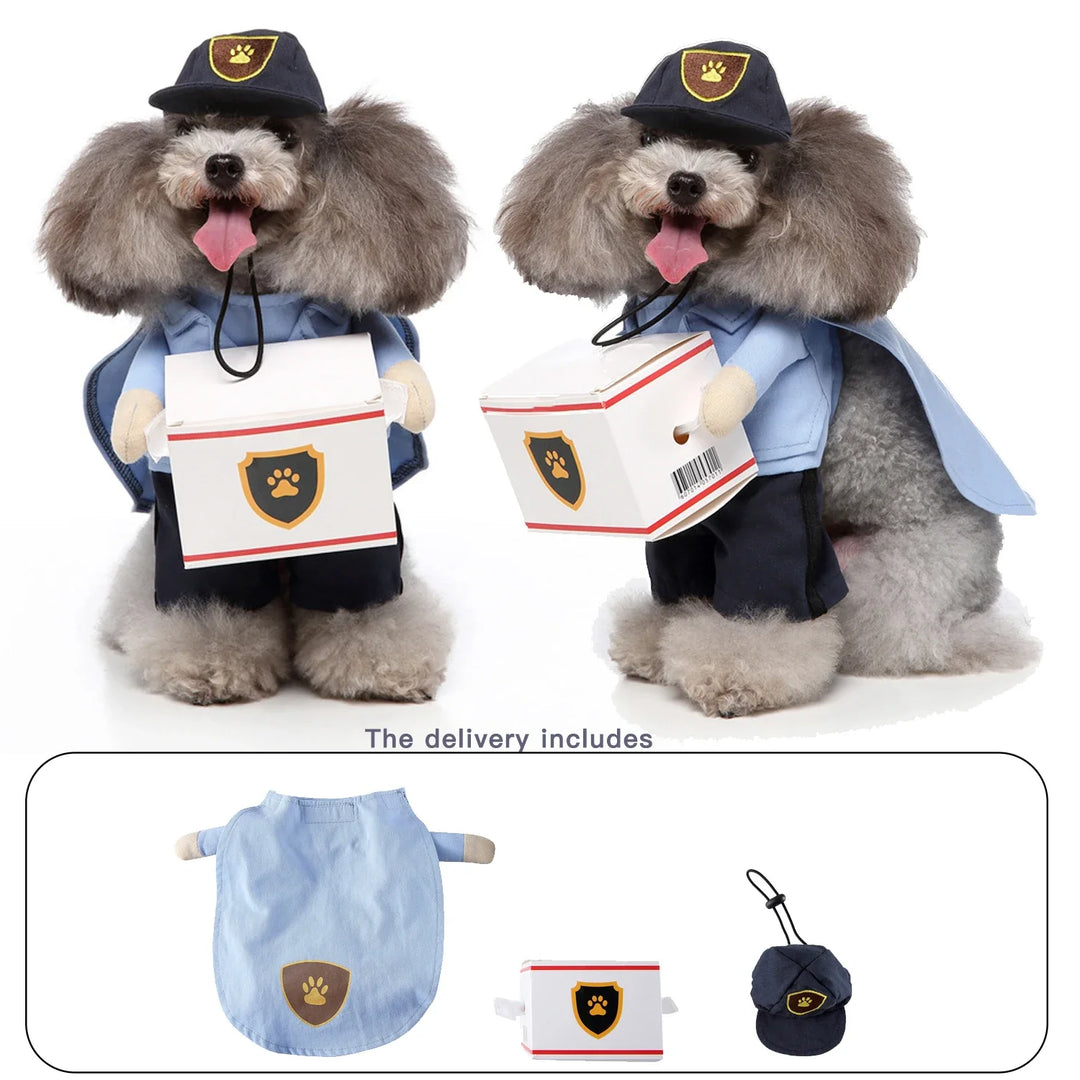 Hilarious dog clothing perfect for birthday photo shoots