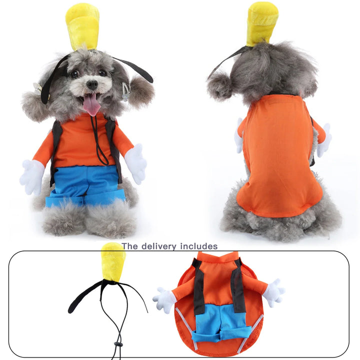 Holiday dog costume in a funny postman style
