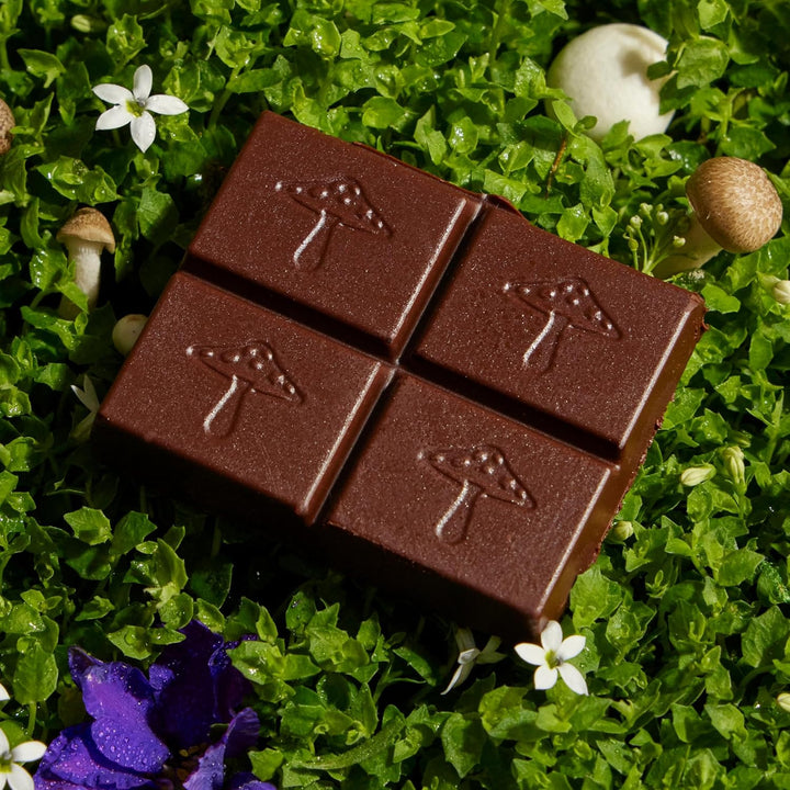 Vegan functional chocolate for vitality and natural wellness