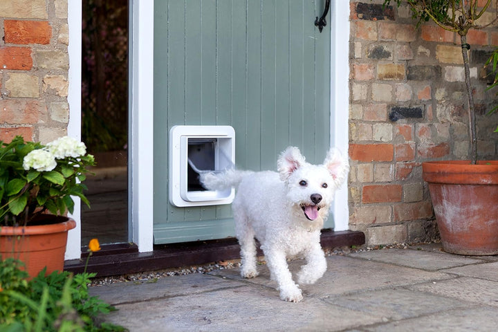 White SureFlap pet door with open flap for cats or small dogs
